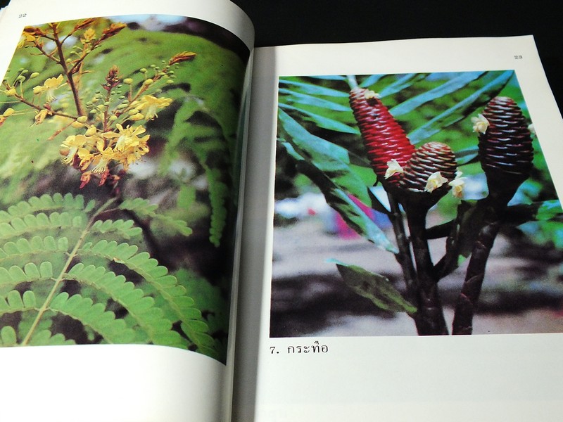 คู่มือการใช้สมุนไพร โดย ศ.พเยาว์ เหมือนวงษืญาติ หนา 298 หน้า ปี 2532