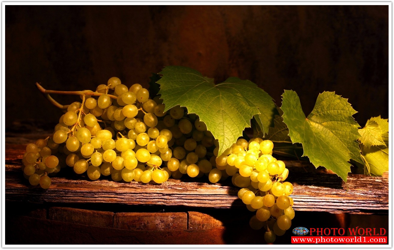 วอลเปเปอร์รูปภาพติดผนังสั่งทำ มีภาพให้เลือกกว่า 50,000 ภาพ ออกแบบกราฟฟิค หรือ รูปภาพตามที่ท่านกำหนด ในสไตล์ท่านเอง "custom made"