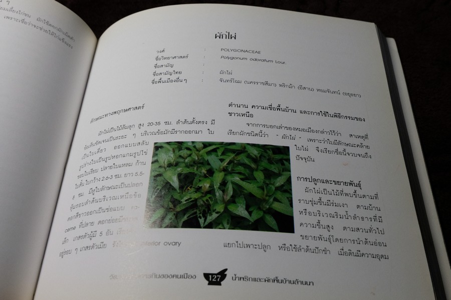 วัฒนธรรมการกินของคนพื้นเมือง น้ำพริกเเละผักพื้นบ้านล้านนา พิมพ์ปี 2543