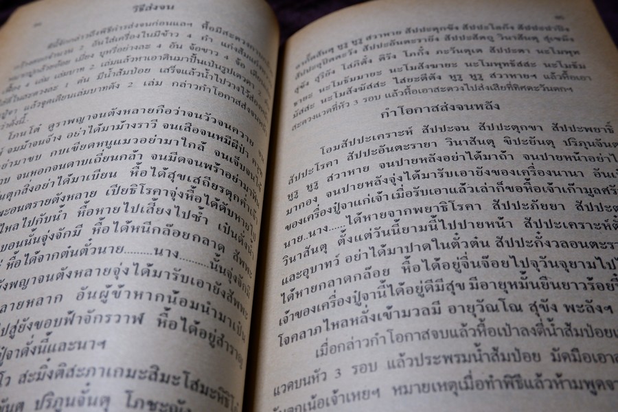 ของดีจากปั๊บสา โดย ญาณสมฺปนฺโน หนา 320 หน้า