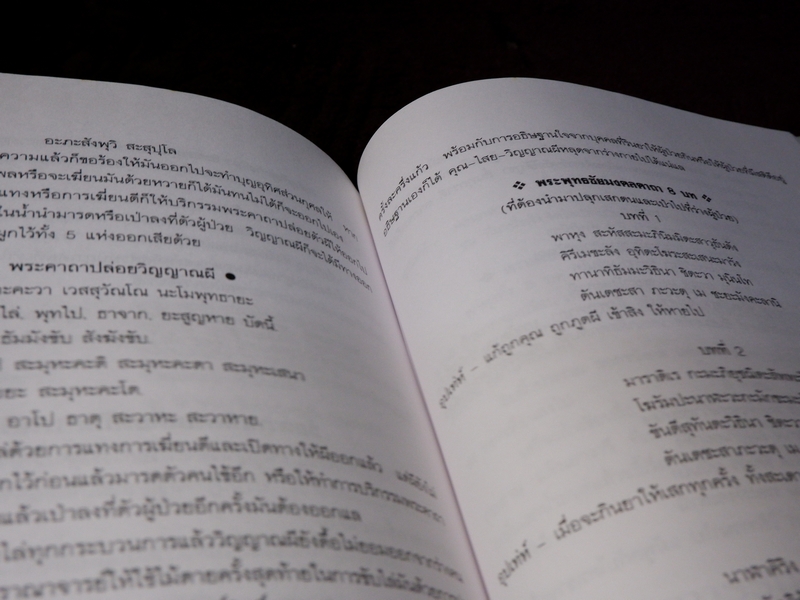 เพชรน้ำเอก กรุยอดตำรับยาสมุนไพร หลักการรักษาโรคตามแบบแผนพื้นบ้าน ครบทุกรูปแบบ ทุกแขนง
