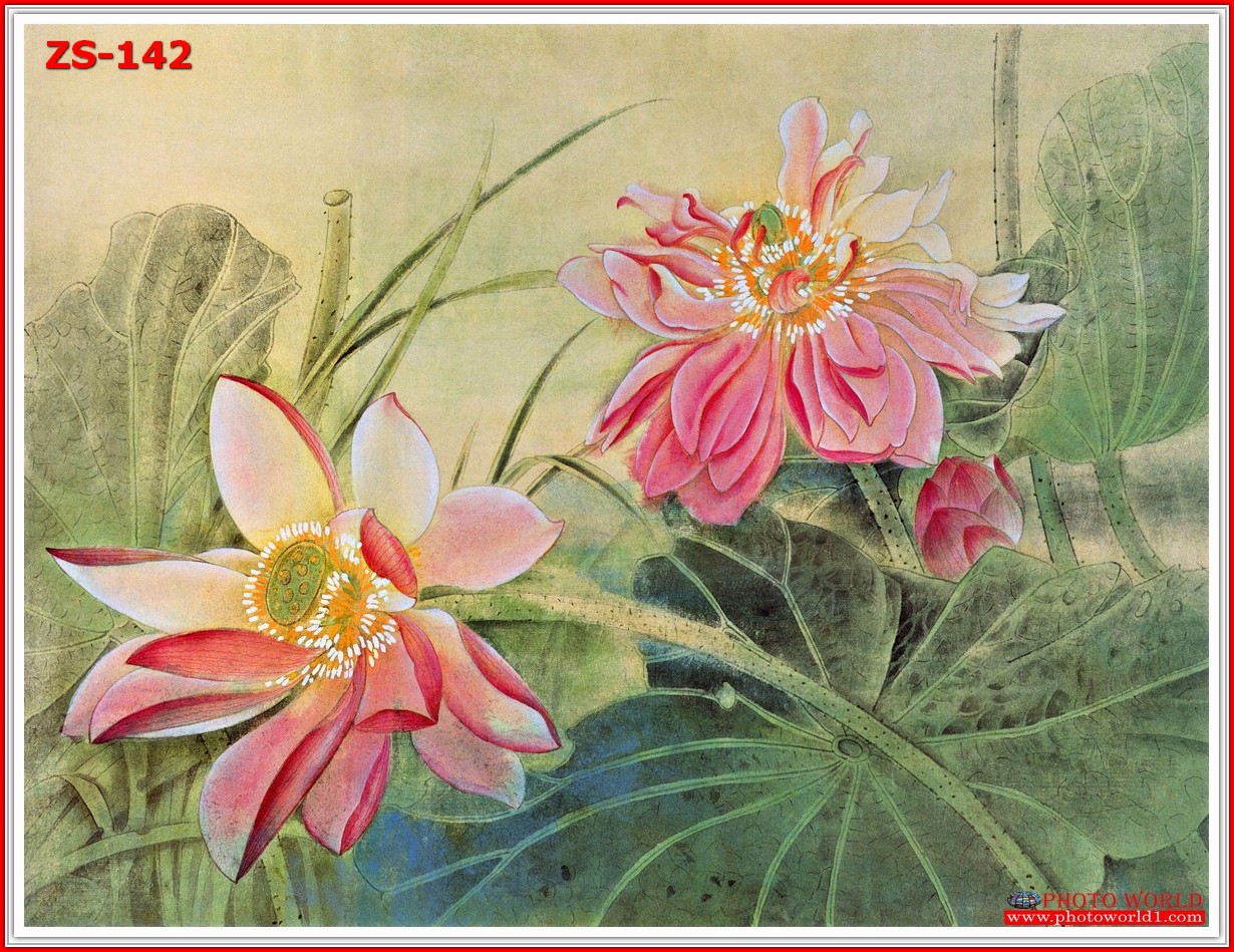 วอลเปเปอร์รูปภาพติดผนังสั่งทำ มีภาพให้เลือกกว่า 50,000 ภาพ ออกแบบกราฟฟิค หรือ รูปภาพตามที่ท่านกำหนด ในสไตล์ท่านเอง "custom made"