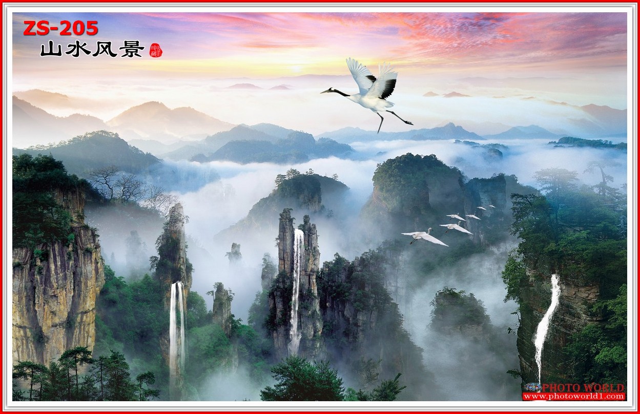 วอลเปเปอร์รูปภาพติดผนังสั่งทำ มีภาพให้เลือกกว่า 50,000 ภาพ ออกแบบกราฟฟิค หรือ รูปภาพตามที่ท่านกำหนด ในสไตล์ท่านเอง "custom made"