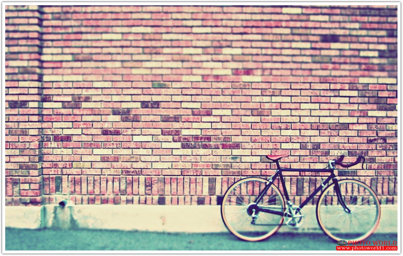 วอลเปเปอร์รูปภาพติดผนังสั่งทำ RETRO&VINTAGE (PHOTO STOCK) มีภาพให้เลือกกว่า 50,000 ภาพ ออกแบบกราฟฟิค หรือ รูปภาพตามที่ท่านกำหนด ในสไตล์ท่านเอง "custom made"
