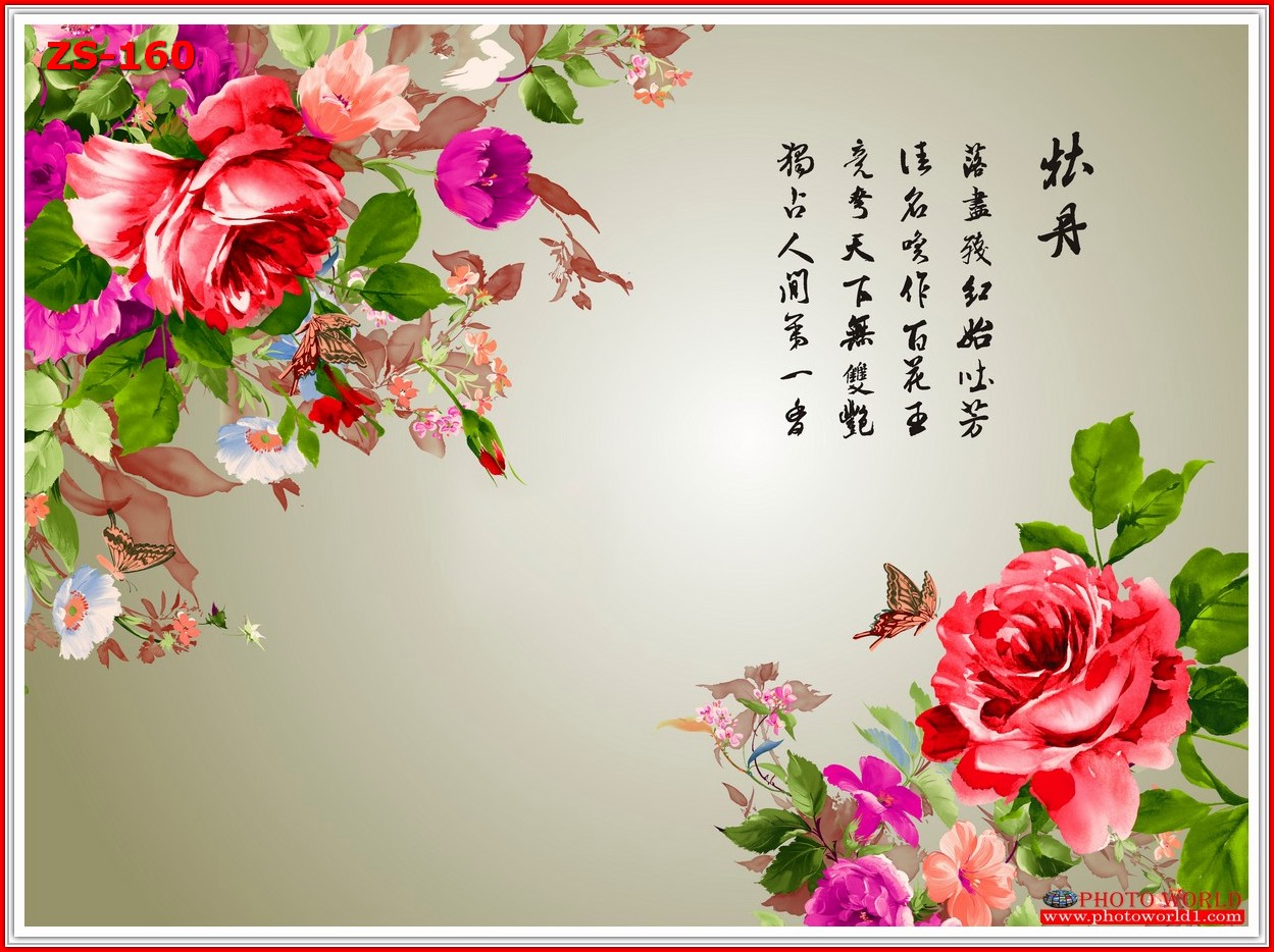 วอลเปเปอร์รูปภาพติดผนังสั่งทำ มีภาพให้เลือกกว่า 50,000 ภาพ ออกแบบกราฟฟิค หรือ รูปภาพตามที่ท่านกำหนด ในสไตล์ท่านเอง "custom made"