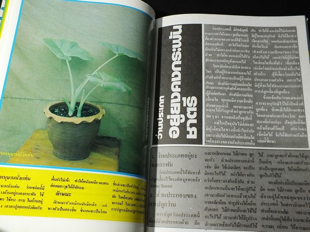 สารานุกรมว่านไทย ฉบับสมบูรณ์ โดย ทัศนา ทัศนมิตร-ดำรงศักดิ์ นาคนิยม (สอบถาม)