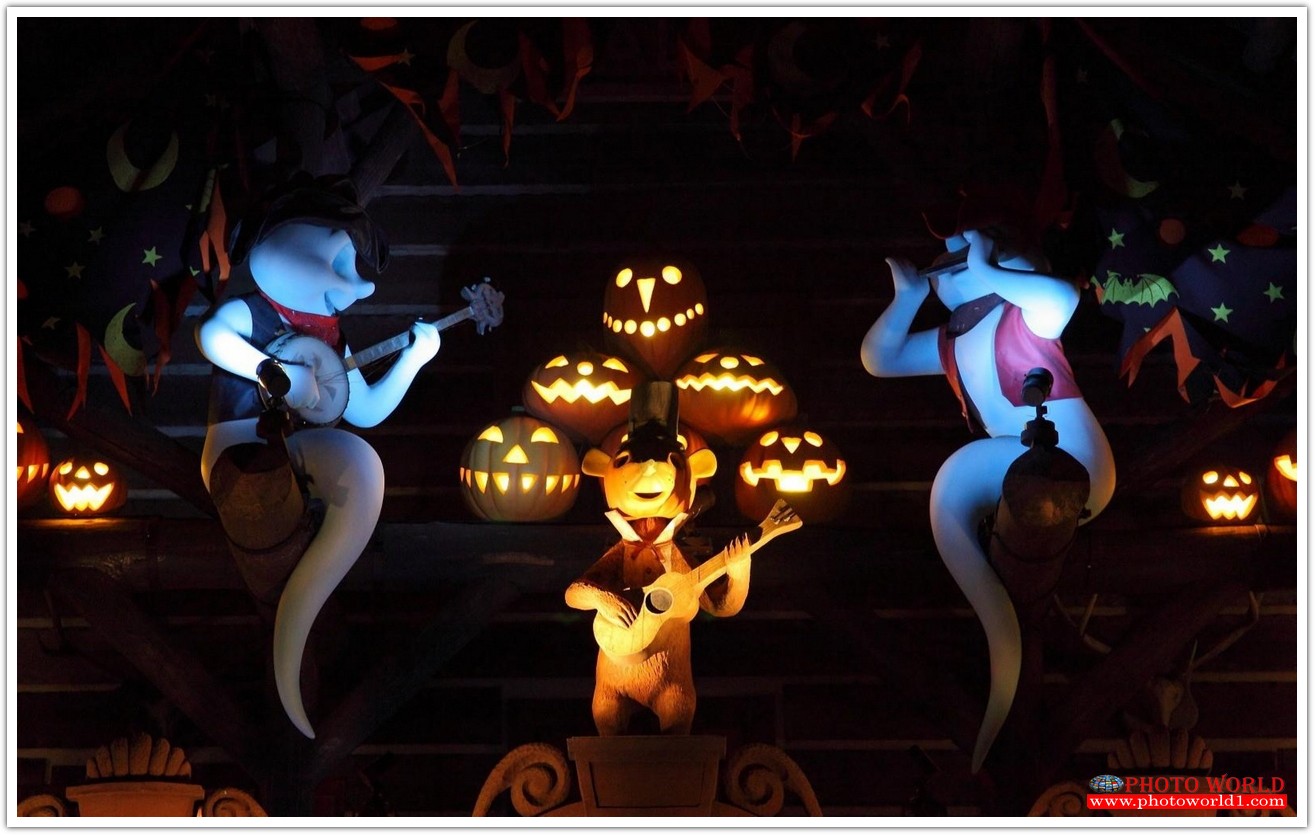 วอลเปเปอร์รูปภาพติดผนังสั่งทำ มีภาพให้เลือกกว่า 50,000 ภาพ ออกแบบกราฟฟิค หรือ รูปภาพตามที่ท่านกำหนด ในสไตล์ท่านเอง "custom made"