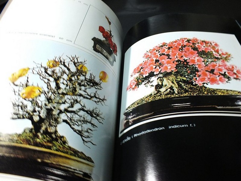 บอนไซ 01 02 03 รวม 3 เล่ม โดยชมรมบอนไซ(ไม้เเคระ) เเห่งประเทศไทย //สอบถาม//