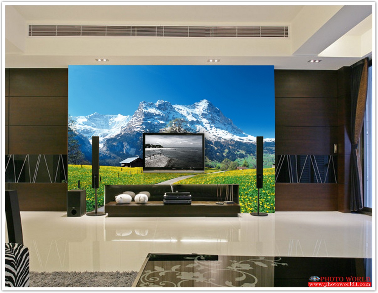 วอลเปเปอร์รูปภาพติดผนังสั่งทำ มีภาพให้เลือกกว่า 50,000 ภาพ ออกแบบกราฟฟิค หรือ รูปภาพตามที่ท่านกำหนด ในสไตล์ท่านเอง "custom made"