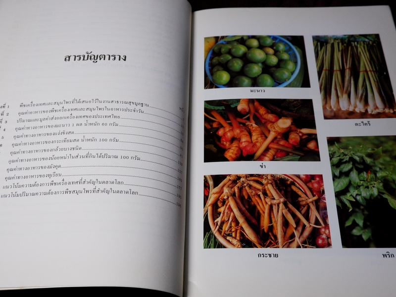 พืชเครื่องเทศ เเละ สมุนไพร โดย รุ่งรัตน์ เหลืองนทีเทพ