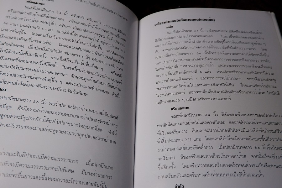 คู่มือ การเลี้ยงปลาอะโรวาน่า โดย สุรศักดิ์ วงศ์กิตติเวช ปกเเข็ง ปี 2543