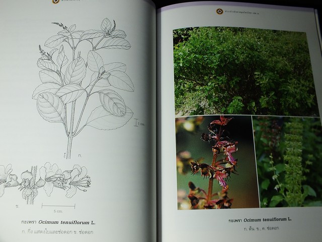 ตำราอ้างอิงยาสมุนไพรไทย เล่ม 2 เฉลิมพระเกียรติสมเด็จพระเทพฯพระชนมายุ 60 พรรษา ปกแข็ง 360 หน้า