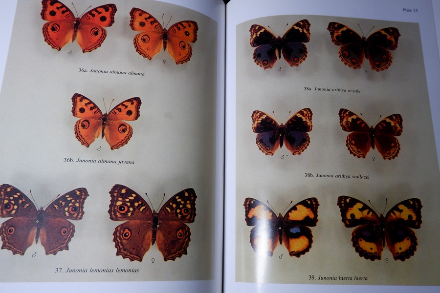 BUTTERFLIES IN THAILAND เล่ม 1-6 BY Bro.Amnuay Pinratana J.N.Eliot ปกเเข็ง 6 เล่ม