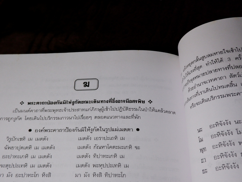 เพชรน้ำเอก กรุยอดตำรับยาสมุนไพร หลักการรักษาโรคตามแบบแผนพื้นบ้าน ครบทุกรูปแบบ ทุกแขนง