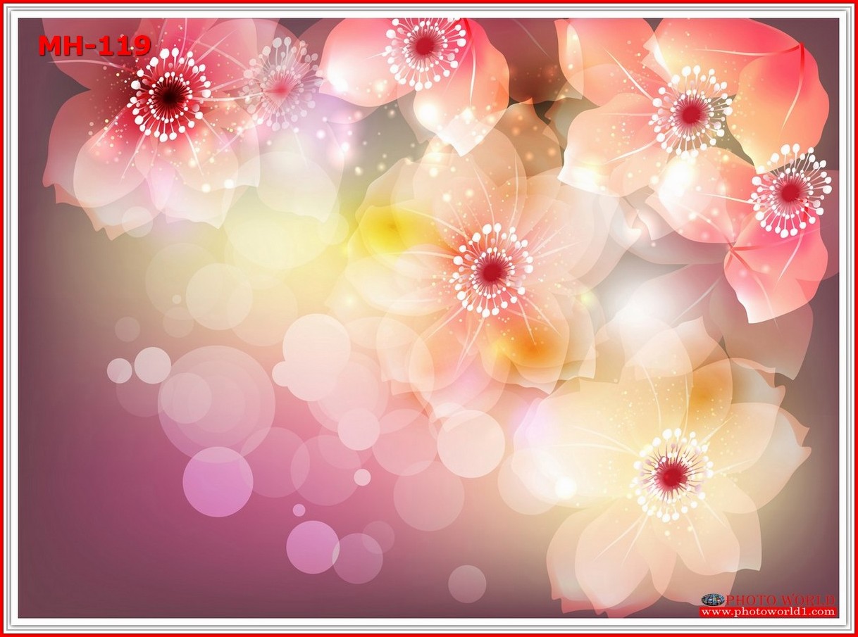 วอลเปเปอร์รูปภาพติดผนังสั่งทำ มีภาพให้เลือกกว่า 50,000 ภาพ ออกแบบกราฟฟิค หรือ รูปภาพตามที่ท่านกำหนด ในสไตล์ท่านเอง "custom made"