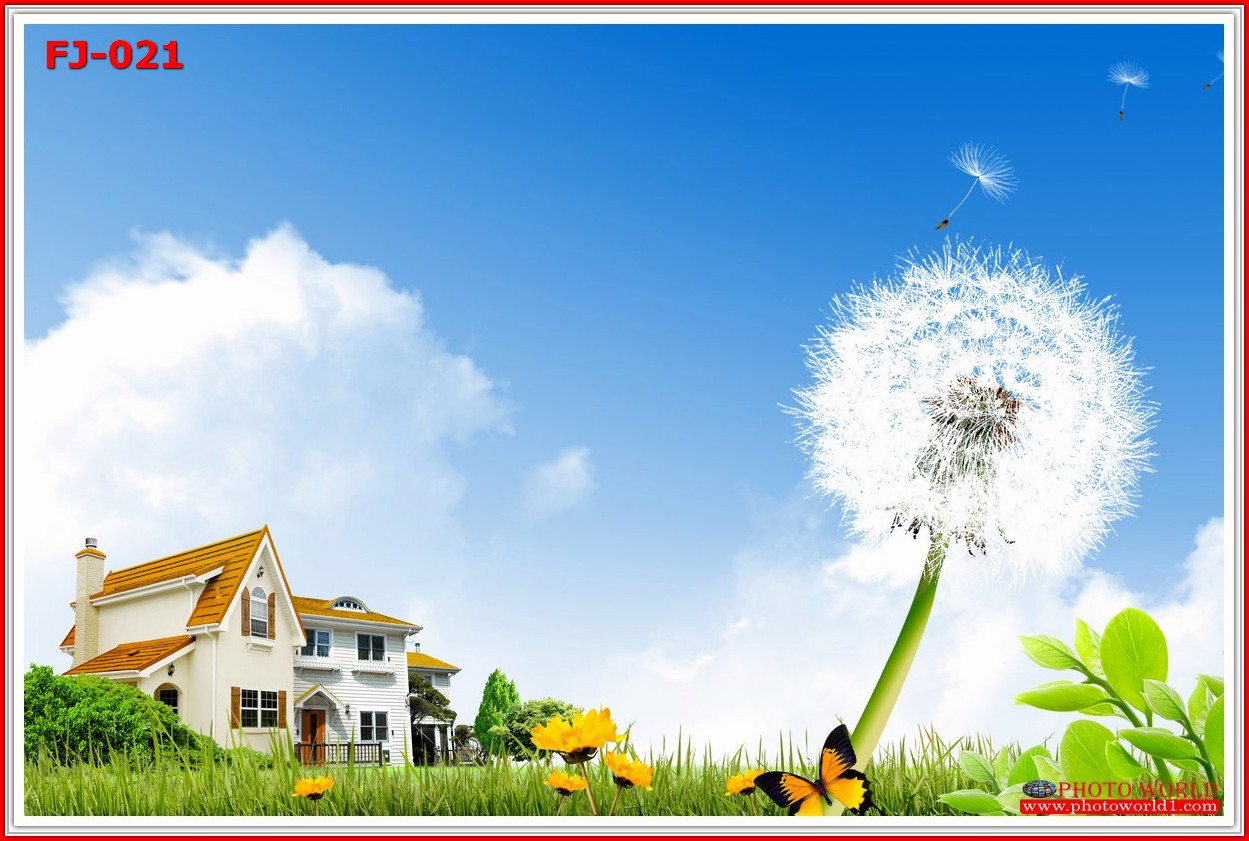 วอลเปเปอร์รูปภาพติดผนังสั่งทำ มีภาพให้เลือกกว่า 50,000 ภาพ ออกแบบกราฟฟิค หรือ รูปภาพตามที่ท่านกำหนด ในสไตล์ท่านเอง "custom made"