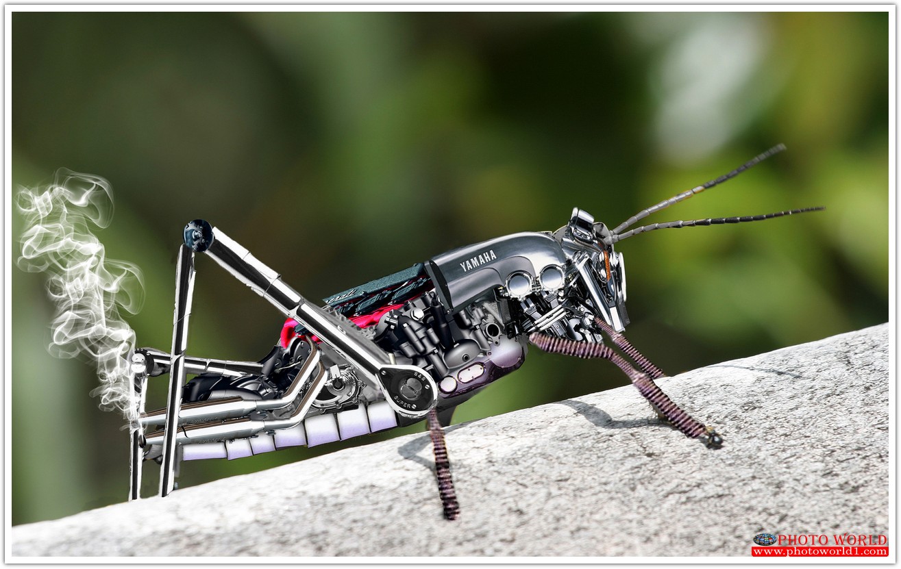 วอลเปเปอร์รูปภาพติดผนังสั่งทำ HI-TECT (PHOTO STOCK) มีภาพให้เลือกกว่า 50,000 ภาพ ออกแบบกราฟฟิค หรือ รูปภาพตามที่ท่านกำหนด ในสไตล์ท่านเอง "custom made"