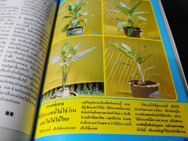 สารานุกรมว่านไทย ฉบับสมบูรณ์ โดย ทัศนา ทัศนมิตร-ดำรงศักดิ์ นาคนิยม (สอบถาม)