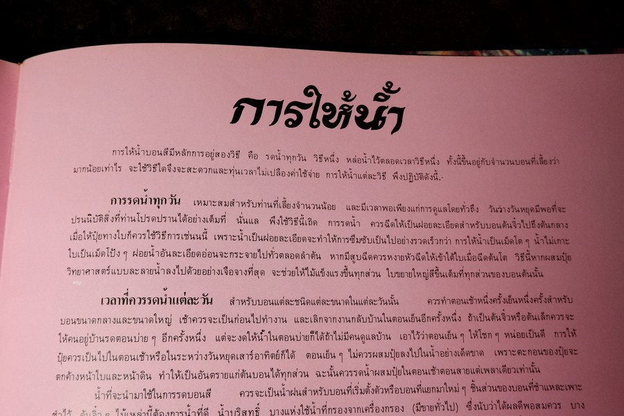 ตะลุยดงบอน โดย เชษฐา ปกเเข็ง 113 หน้า ปี 2524