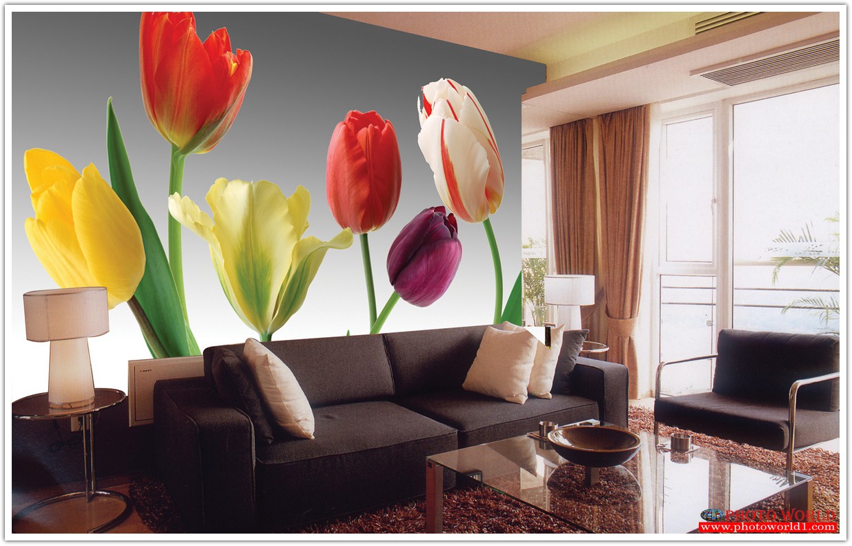 วอลเปเปอร์รูปภาพติดผนังสั่งทำ มีภาพให้เลือกกว่า 50,000 ภาพ ออกแบบกราฟฟิค หรือ รูปภาพตามที่ท่านกำหนด ในสไตล์ท่านเอง "custom made"