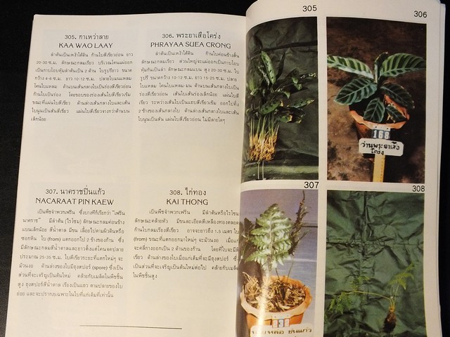 คู่มือดูว่าน ของ สมาคมว่านเเห่งประเทศไทย