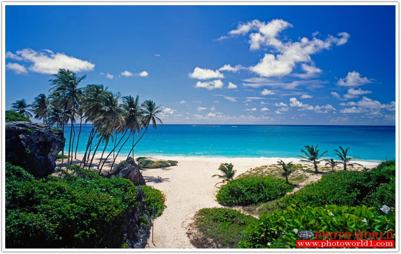 วอลเปเปอร์รูปภาพติดผนังสั่งทำ มีภาพให้เลือกกว่า 50,000 ภาพ ออกแบบกราฟฟิค หรือ รูปภาพตามที่ท่านกำหนด ในสไตล์ท่านเอง "custom made"