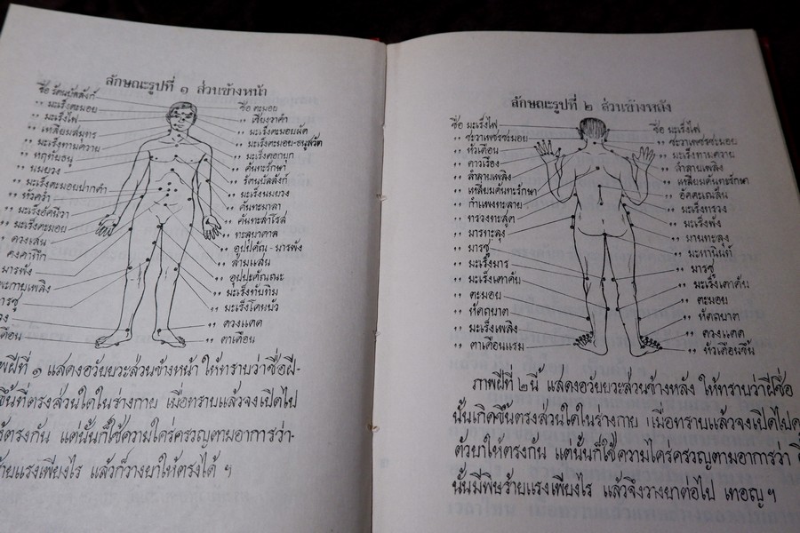 ตำรายา โรคฝี โดย อ.เชาว์ กสิพันธุ์ ปกแข็ง ปี 2525