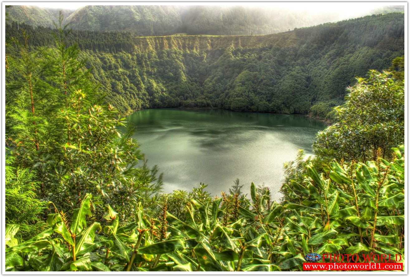 NATURAL วอลเปเปอร์รูปภาพติดผนังสั่งทำ มีภาพให้เลือกกว่า 50,000 ภาพ ออกแบบกราฟฟิค หรือ รูปภาพตามที่ท่านกำหนด ในสไตล์ท่านเอง "custom made"