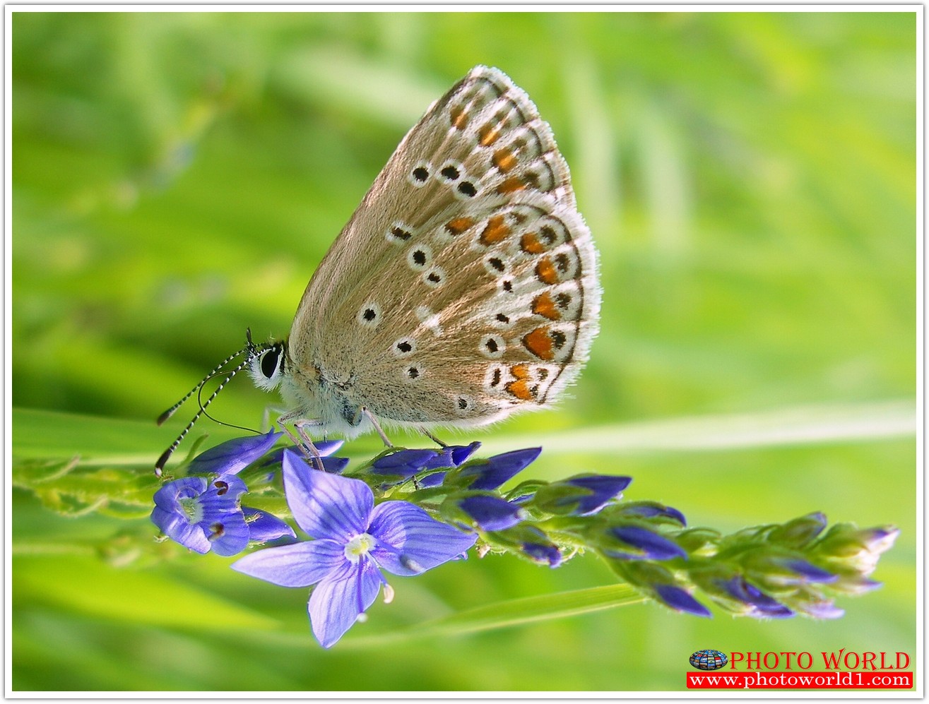 วอลเปเปอร์รูปภาพติดผนังสั่งทำ มีภาพให้เลือกกว่า 50,000 ภาพ ออกแบบกราฟฟิค หรือ รูปภาพตามที่ท่านกำหนด ในสไตล์ท่านเอง "custom made"