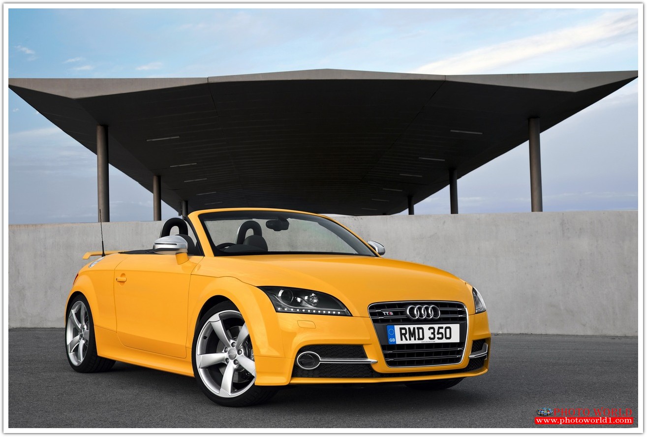 วอลเปเปอร์รูปภาพติดผนังสั่งทำ มีภาพให้เลือกกว่า 50,000 ภาพ ออกแบบกราฟฟิค หรือ รูปภาพตามที่ท่านกำหนด ในสไตล์ท่านเอง "custom made"