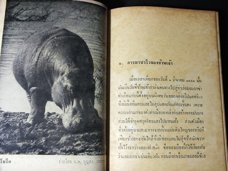 สิงห์ร้ายเเห่งซาโว โดย หมอบุญส่ง เลขะกุล เเละ เจ้าปู่สมิงไพร ปกแข็ง พิมพ์ครั้งเเรก ปี 2514