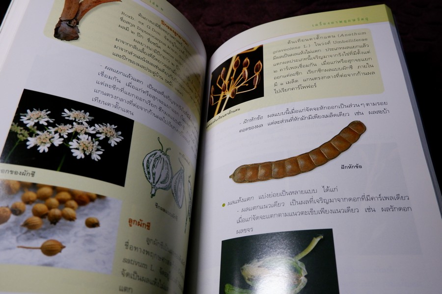 คู่มือเภสัชกรรมเเผนไทย เล่ม 2 เครื่องยาพฤกษวัตถุ พิมพ์ปี 2545