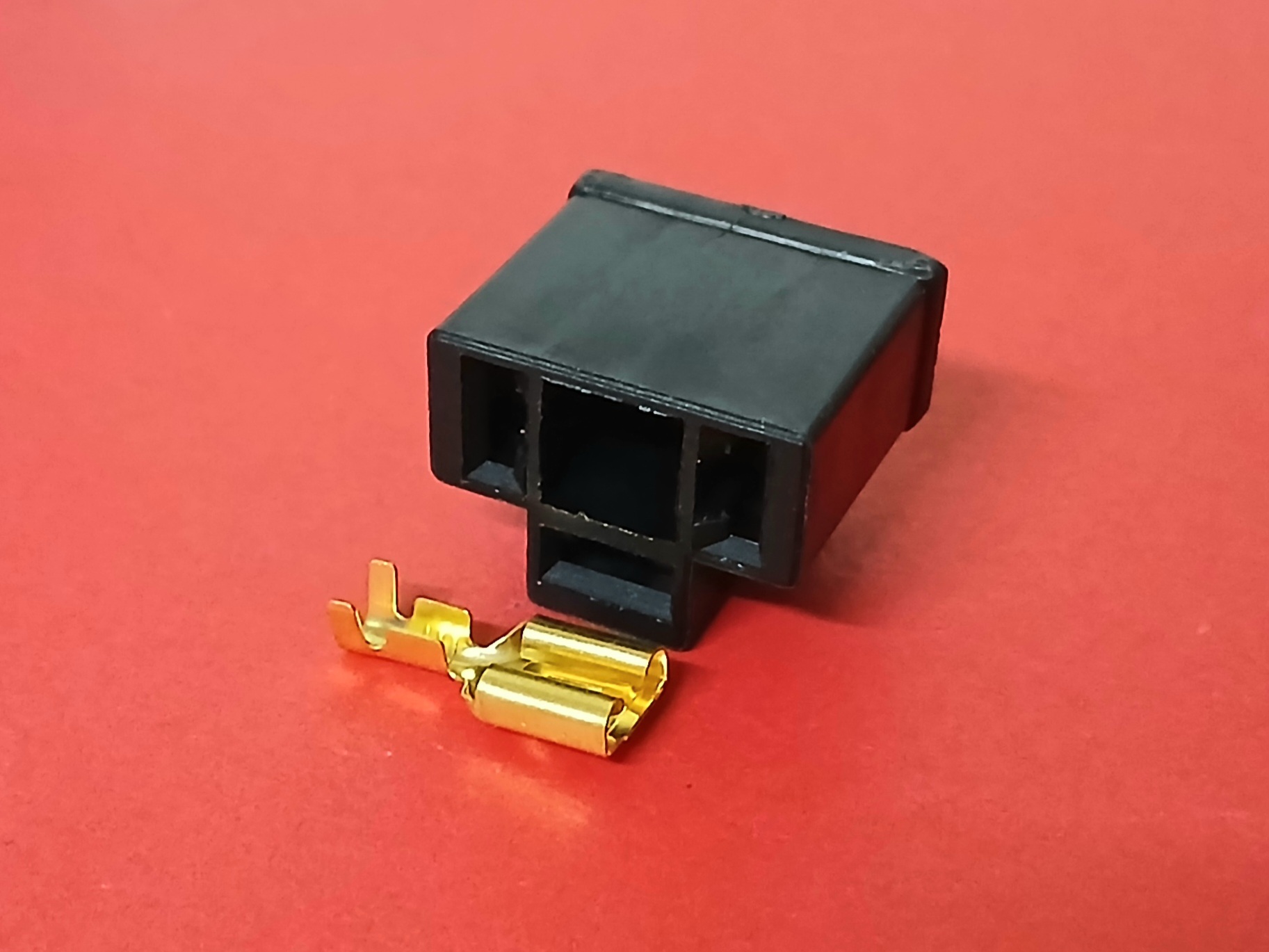 H4 ตัวเมีย