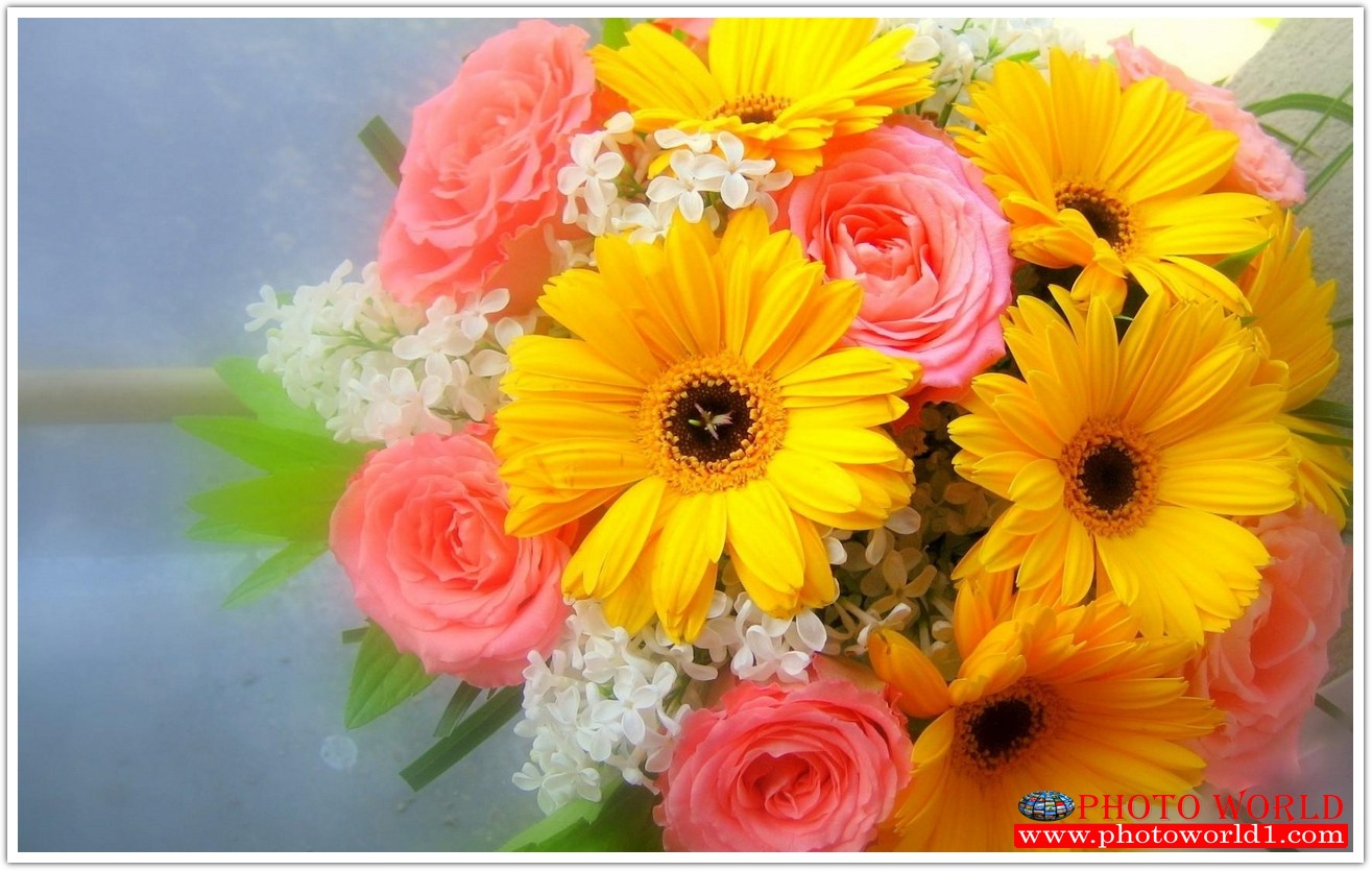 วอลเปเปอร์รูปภาพติดผนังสั่งทำ มีภาพให้เลือกกว่า 50,000 ภาพ ออกแบบกราฟฟิค หรือ รูปภาพตามที่ท่านกำหนด ในสไตล์ท่านเอง "custom made"