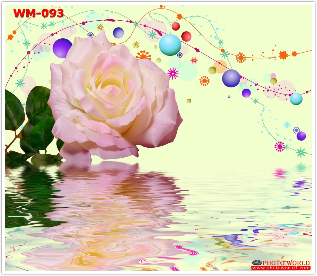 วอลเปเปอร์รูปภาพติดผนังสั่งทำ มีภาพให้เลือกกว่า 50,000 ภาพ ออกแบบกราฟฟิค หรือ รูปภาพตามที่ท่านกำหนด ในสไตล์ท่านเอง "custom made"