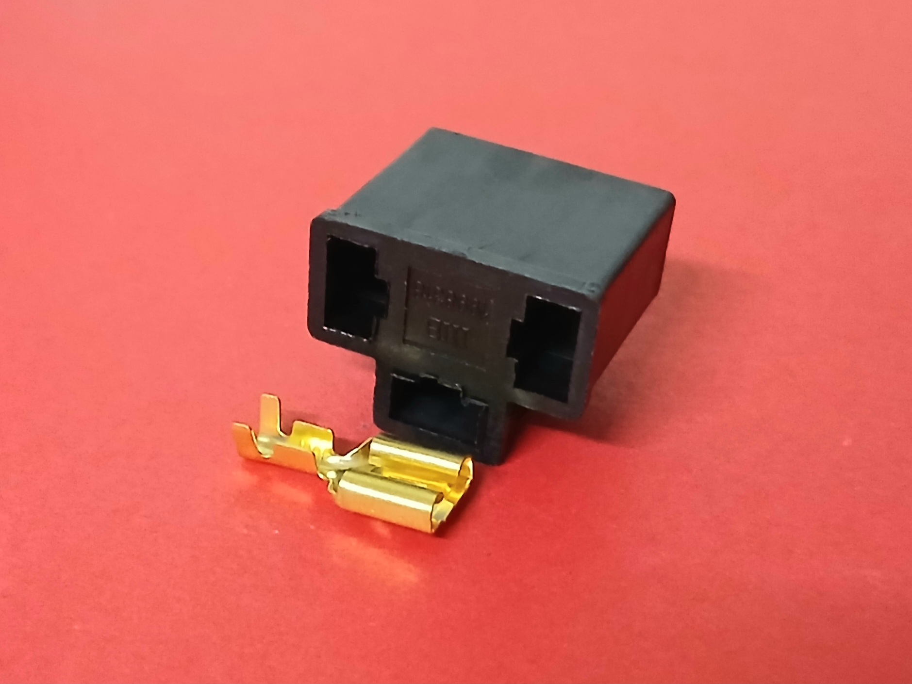 H4 ตัวเมีย