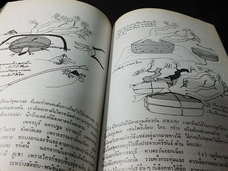 บอนไซ 01 02 03 รวม 3 เล่ม โดยชมรมบอนไซ(ไม้เเคระ) เเห่งประเทศไทย //สอบถาม//