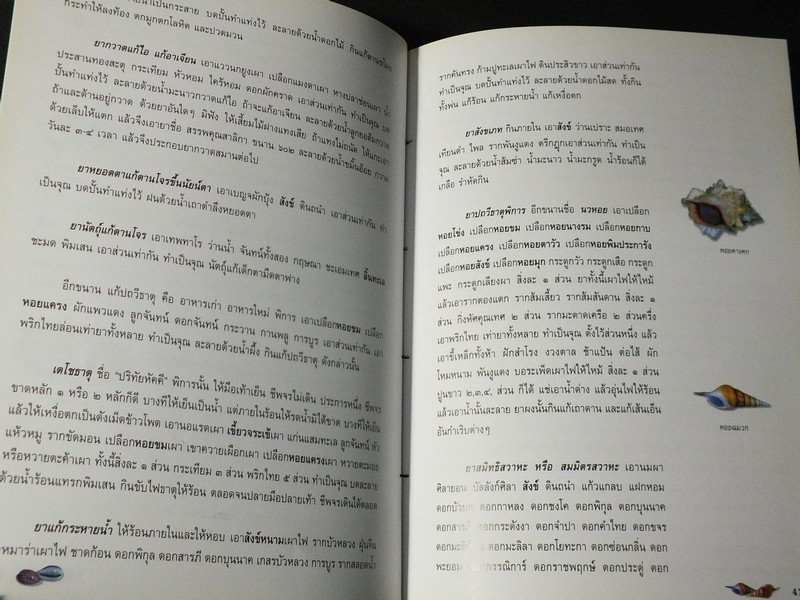 หอยเป็นยา ตามตำรับยาการเเพทย์เเผนไทย โดย เเพทย์หญิงเพ็ญนภา ทรัพย์เจริญ ปกแข็ง ปี 2545