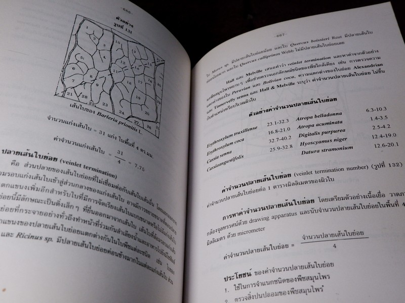 การตรวจเอกลักษณ์พืชสมุนไพร ภาคพิเศษ โดย สถาบันการเเพทย์ไทย เเละ คณะเภสัช ม.เชียงใหม่