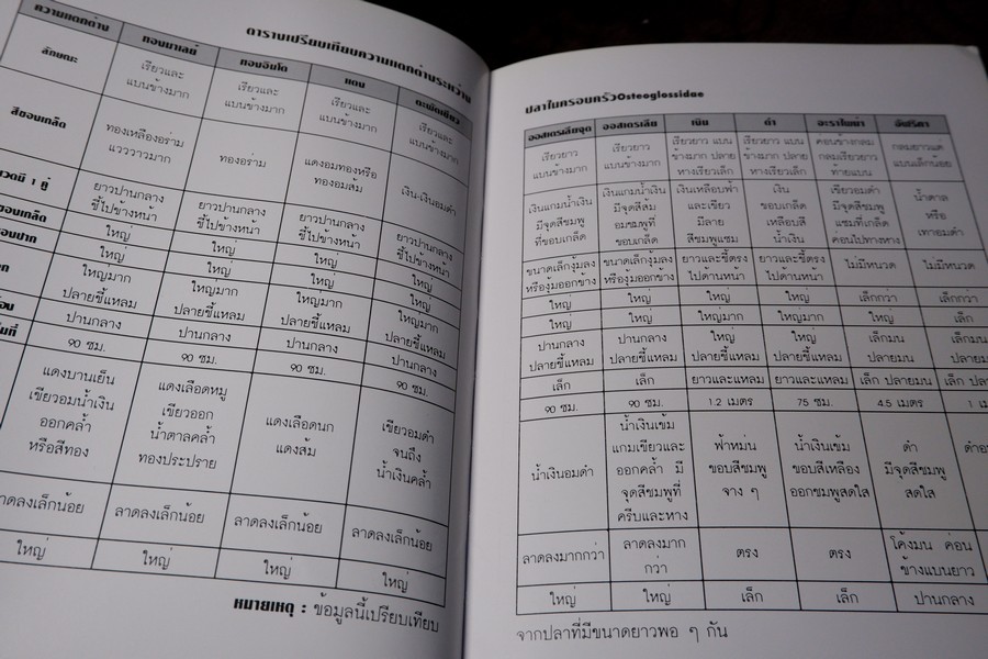 คู่มือ การเลี้ยงปลาอะโรวาน่า โดย สุรศักดิ์ วงศ์กิตติเวช ปกเเข็ง ปี 2543