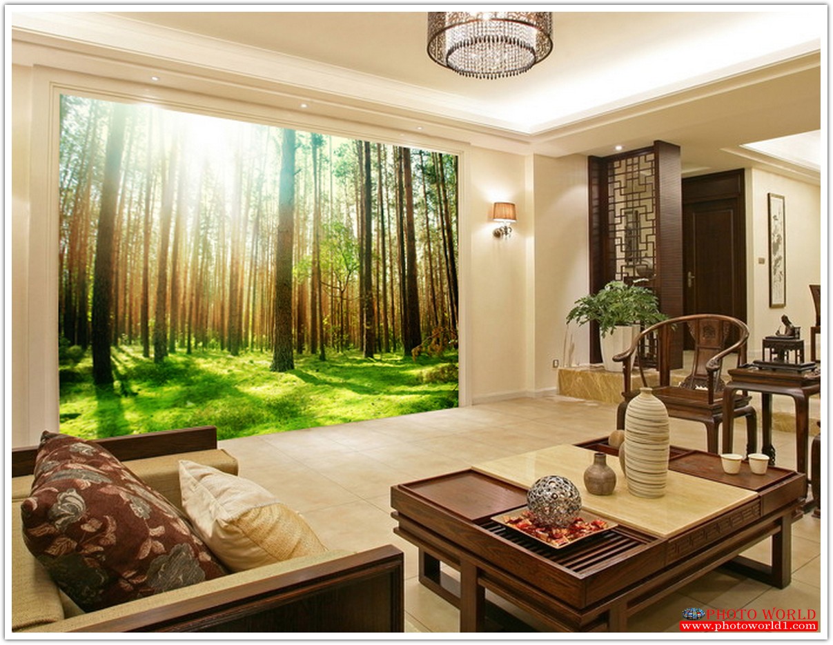 วอลเปเปอร์รูปภาพติดผนังสั่งทำ มีภาพให้เลือกกว่า 50,000 ภาพ ออกแบบกราฟฟิค หรือ รูปภาพตามที่ท่านกำหนด ในสไตล์ท่านเอง "custom made"