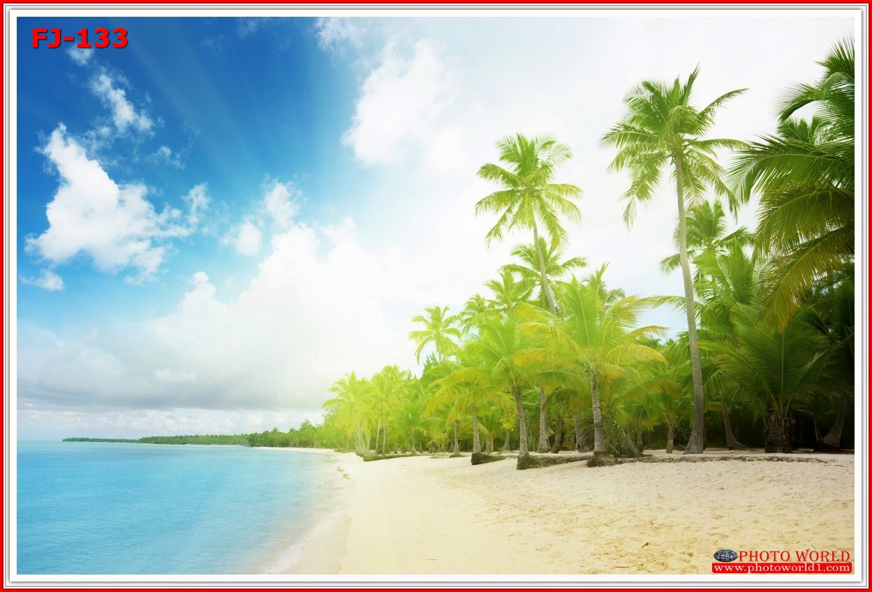 วอลเปเปอร์รูปภาพติดผนังสั่งทำ มีภาพให้เลือกกว่า 50,000 ภาพ ออกแบบกราฟฟิค หรือ รูปภาพตามที่ท่านกำหนด ในสไตล์ท่านเอง "custom made"