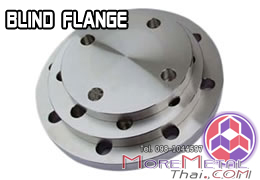 JAPAN Standard Flange(JIS)
