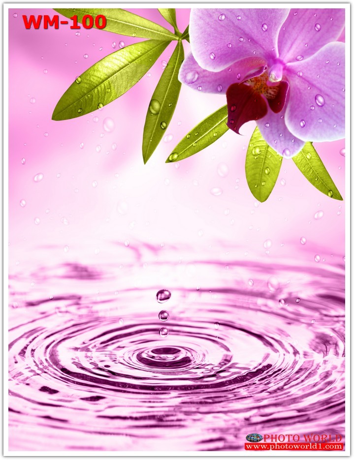 วอลเปเปอร์รูปภาพติดผนังสั่งทำ มีภาพให้เลือกกว่า 50,000 ภาพ ออกแบบกราฟฟิค หรือ รูปภาพตามที่ท่านกำหนด ในสไตล์ท่านเอง "custom made"