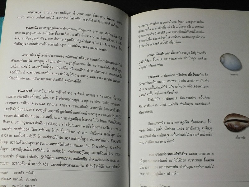 หอยเป็นยา ตามตำรับยาการเเพทย์เเผนไทย โดย เเพทย์หญิงเพ็ญนภา ทรัพย์เจริญ ปกแข็ง ปี 2545
