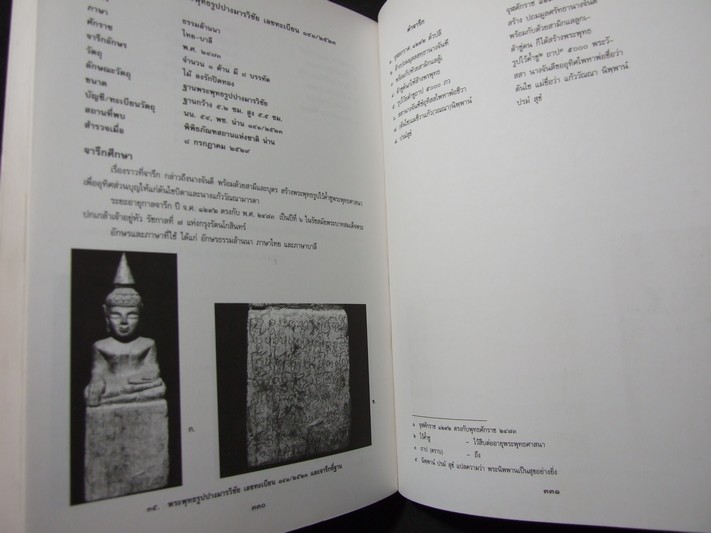 เมืองน่าน โบราณคดี ประวัติศาสตร์ และศิลปะ โดย กรมศิลปากร ปี 2537