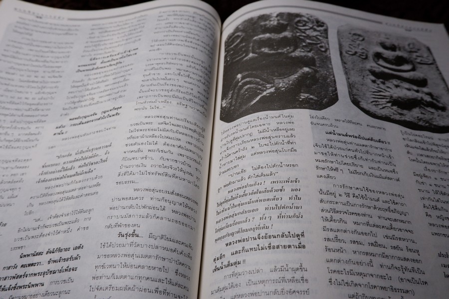 9 พระอาจารย์เสือ โดย สุริยัน ศักดิ์ไธสง (สุดยอด เครื่องรางของขลังขมังเวทย์ 9 เกจิอาจารย์ดัง)
