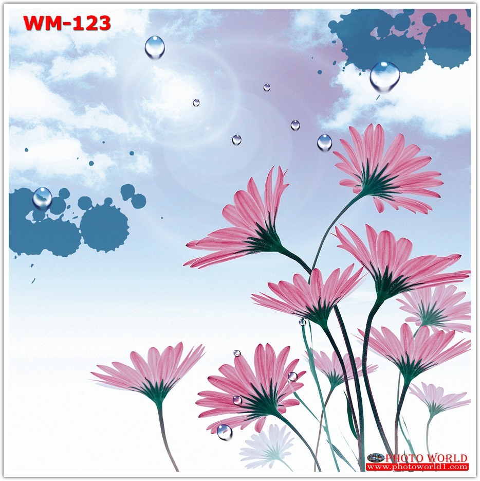 วอลเปเปอร์รูปภาพติดผนังสั่งทำ มีภาพให้เลือกกว่า 50,000 ภาพ ออกแบบกราฟฟิค หรือ รูปภาพตามที่ท่านกำหนด ในสไตล์ท่านเอง "custom made"