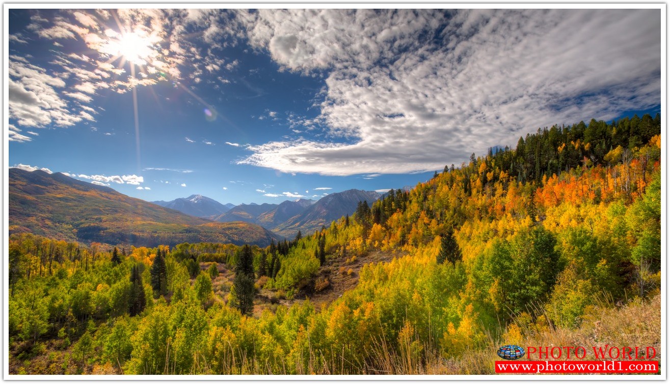 NATURAL วอลเปเปอร์รูปภาพติดผนังสั่งทำ มีภาพให้เลือกกว่า 50,000 ภาพ ออกแบบกราฟฟิค หรือ รูปภาพตามที่ท่านกำหนด ในสไตล์ท่านเอง "custom made"