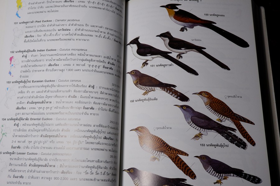 คู่มือดูนก หมอบุญส่ง เลขะกุล นกเมืองไทย (ฉบับ 100 ปี หมอบุญส่ง เลขะกุล) ปี 2550